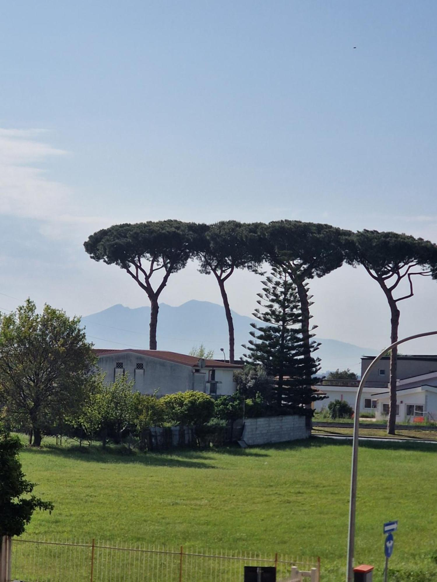 I Pini B&B Recale Esterno foto